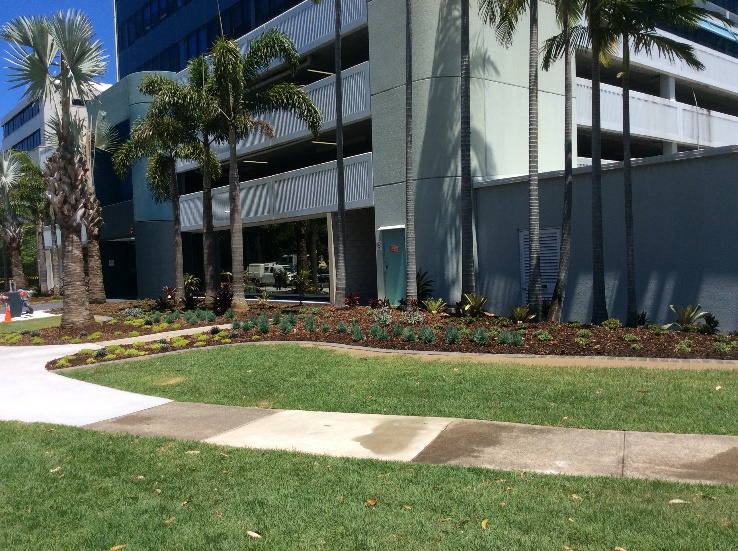 Bundall Streetscape Upgrade