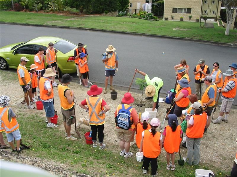 Community Planting and Maintenance Activities — photo 2