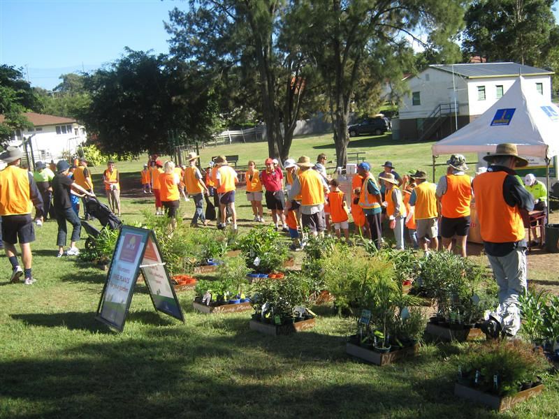 Community Planting and Maintenance Activities — photo 9