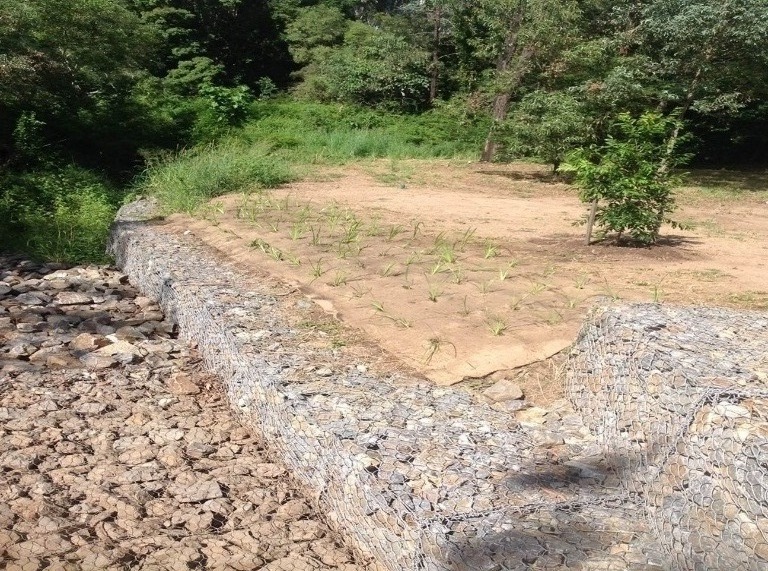 Ghost Gum Court Upgrade — photo 2