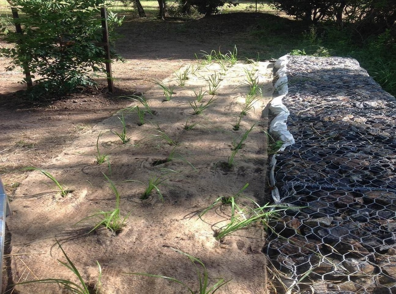 Ghost Gum Court Upgrade — photo 3