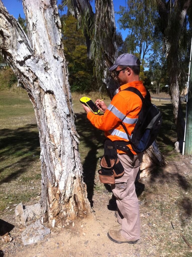 Street Tree Data Capture
