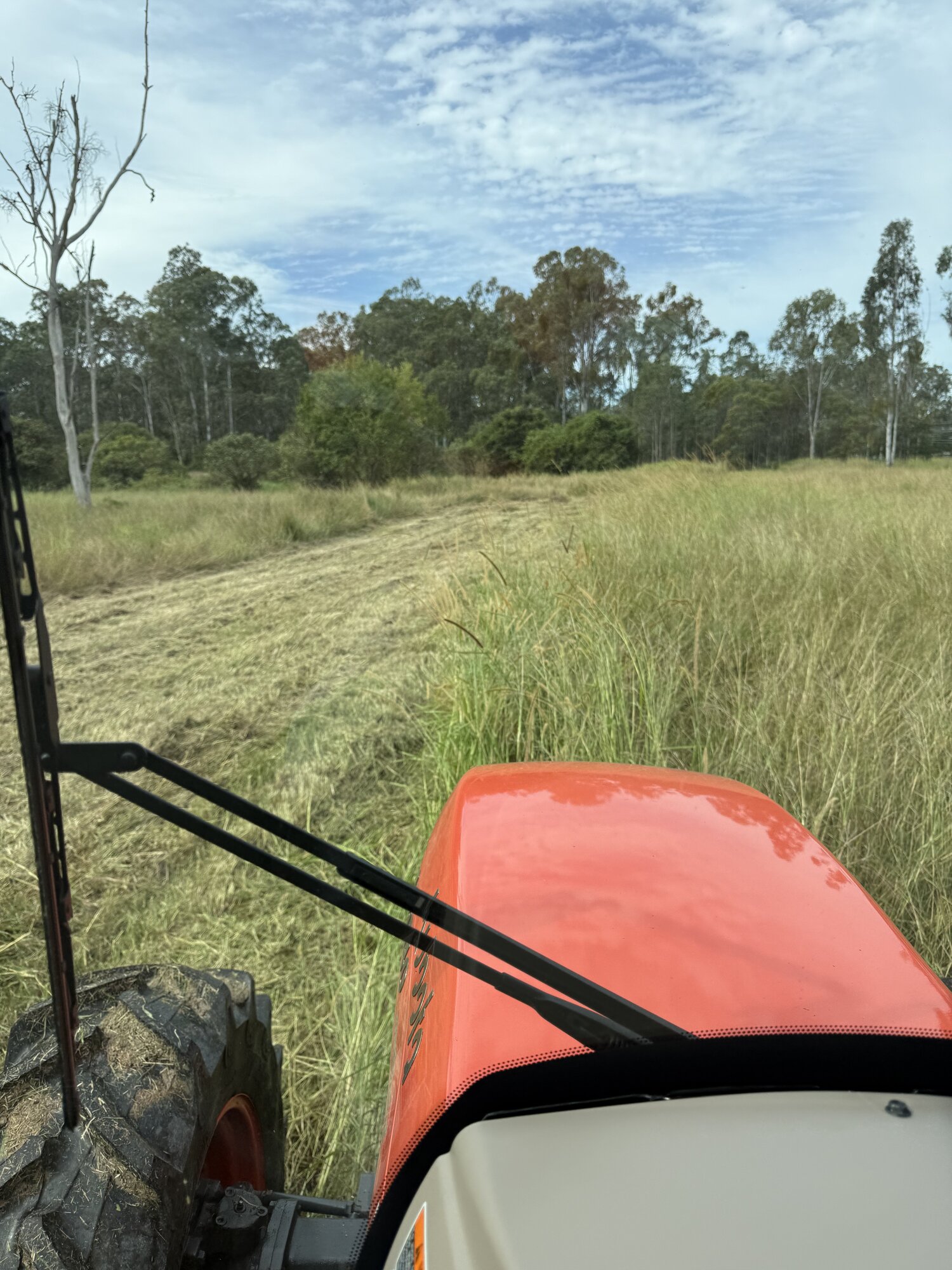 Flail Mowing and Tractor Slashing — photo 2