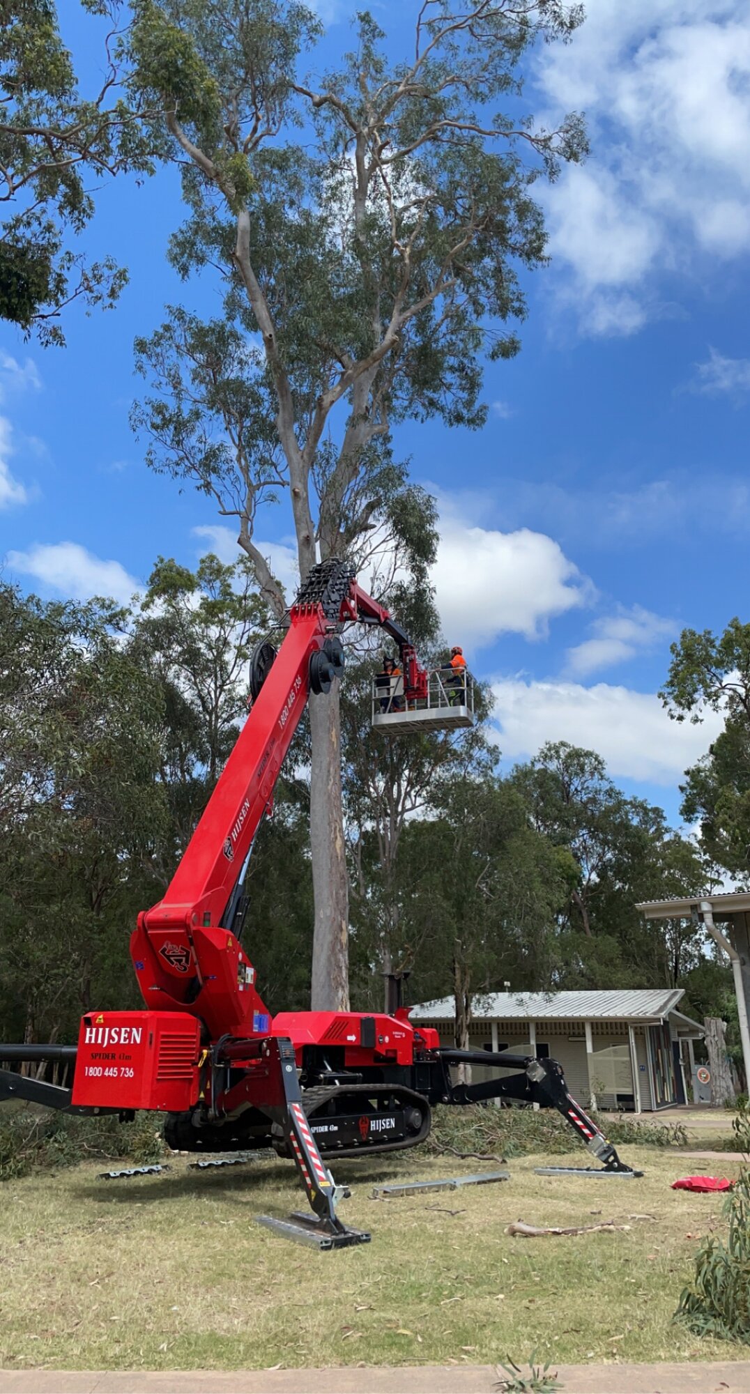 Logan Reserve Tree Canopy Reduction