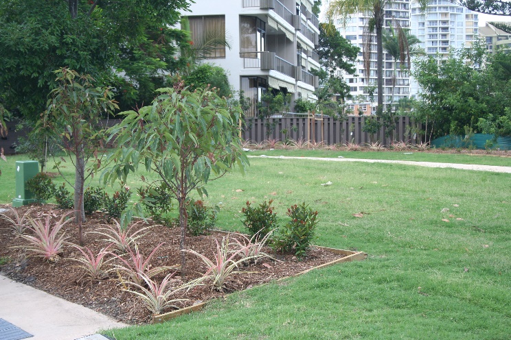 Remembrance Park Upgrade — photo 2