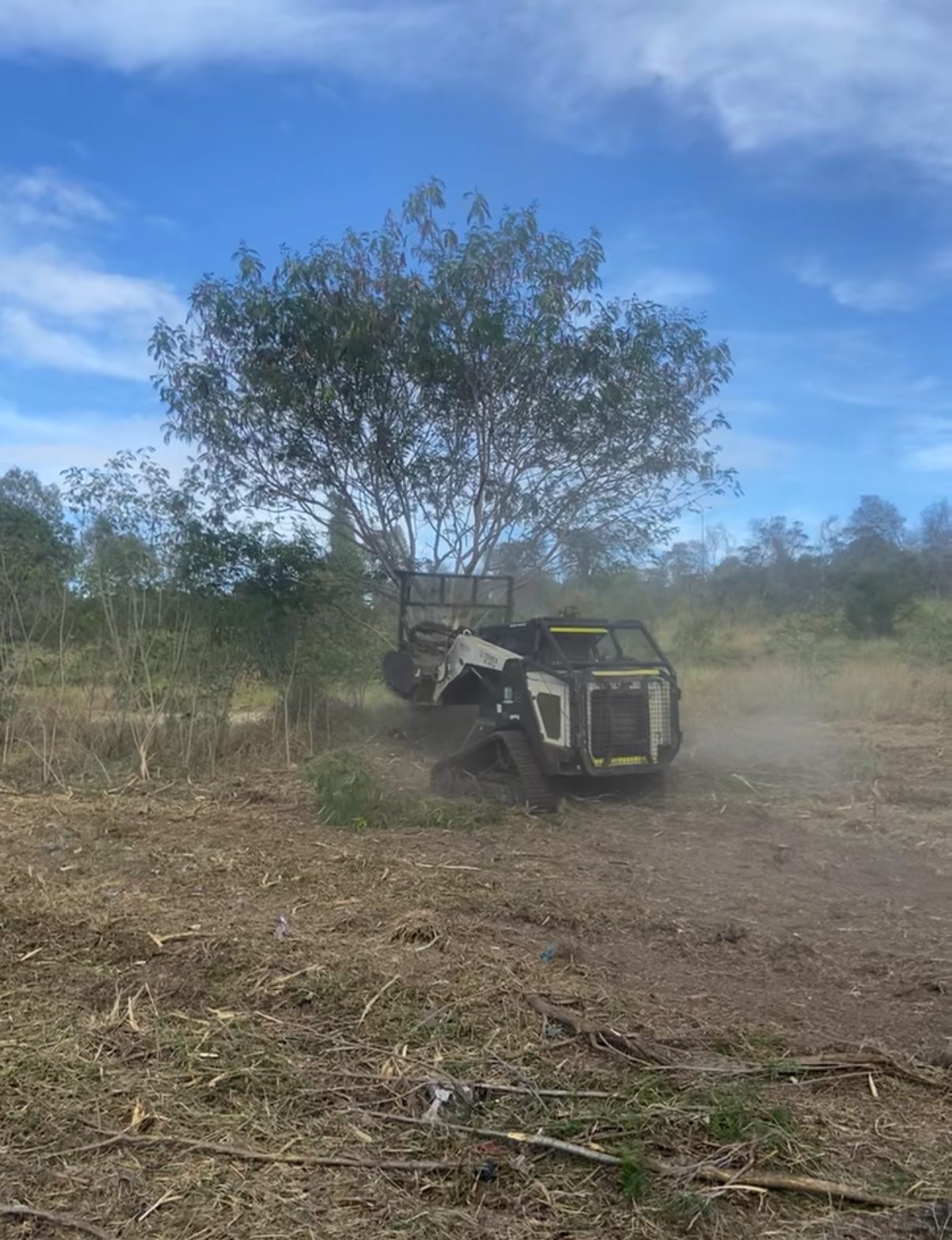 Forestry Mowing