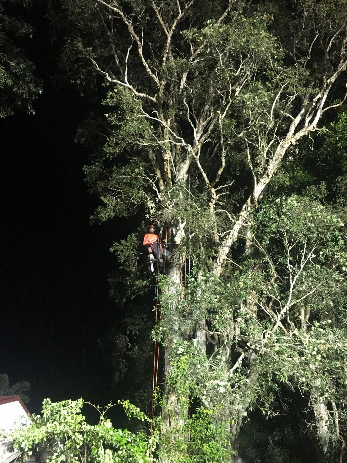 Tradewinds Ave Upgrade — photo 3