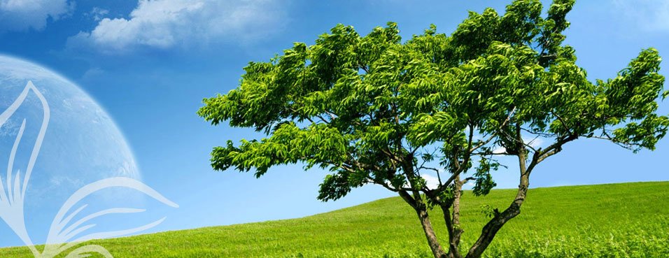 South East Queensland landscape served by Rivercity Environmental