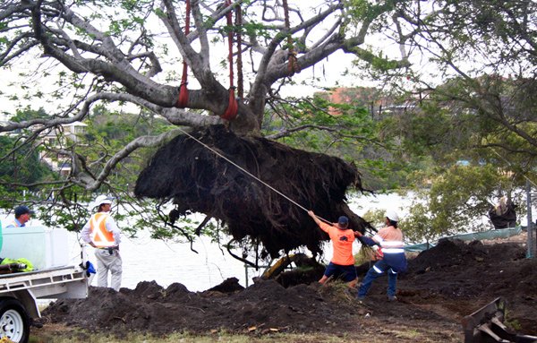 Sunshine Coast — Rivercity Environmental SEQ